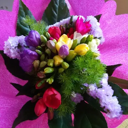 Baggere Bed & Breakfast Napels