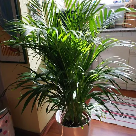 Baggere Bed & Breakfast